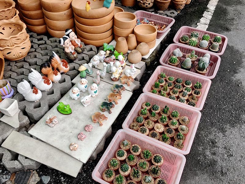 ตลาดต้นไม้