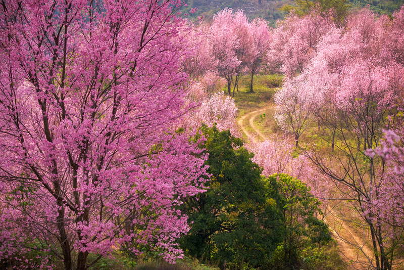 ที่เที่ยวเดือนมกราคม