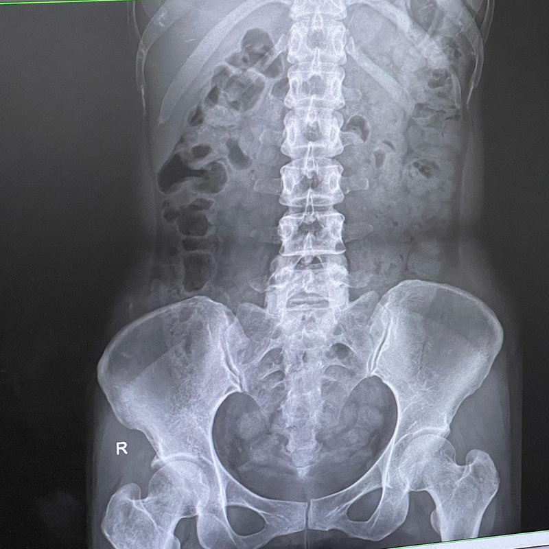 ตุ๊กตา The Voice