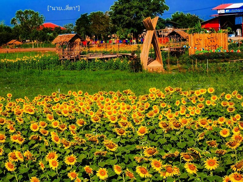 สถานที่ท่องเที่ยวตลาดสายน้ำบางยี่โท