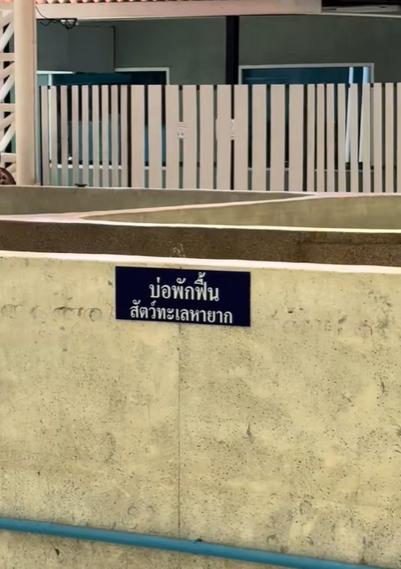 สัตว์หายาก