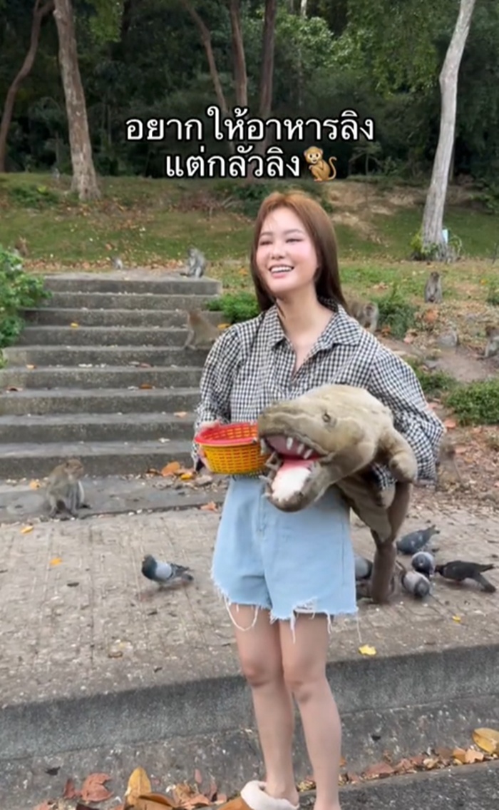 ให้อาหารลิง