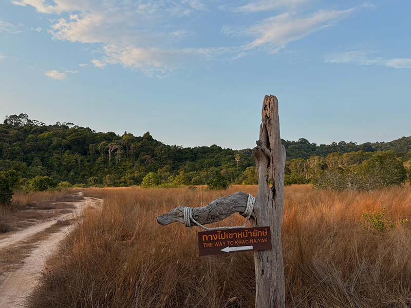หาดท้ายเหมือง เขาหน้ายักษ์ พังงา