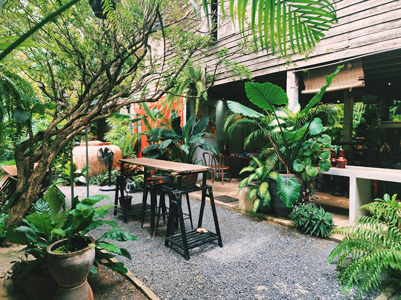 ร้านคาเฟ่หน้าฝน