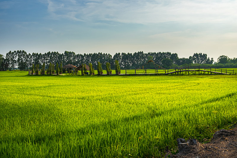 ที่เที่ยววันแม่