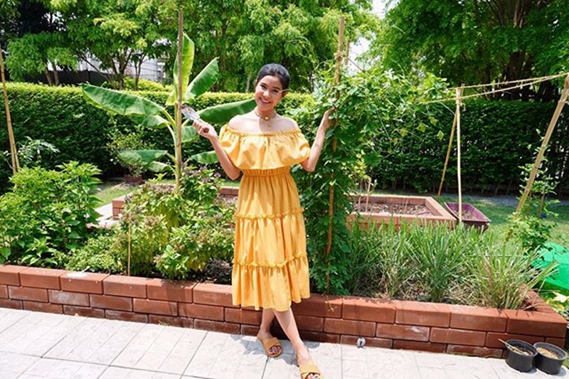 สวนผัก เปา เปาวลี