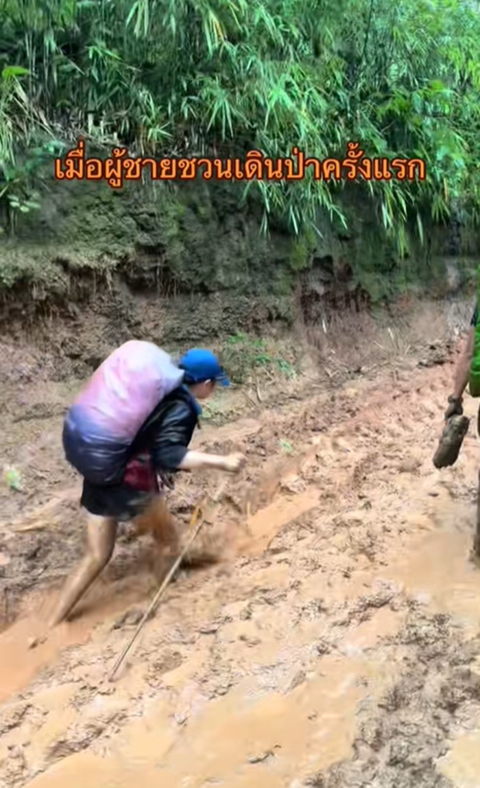 เดินป่า