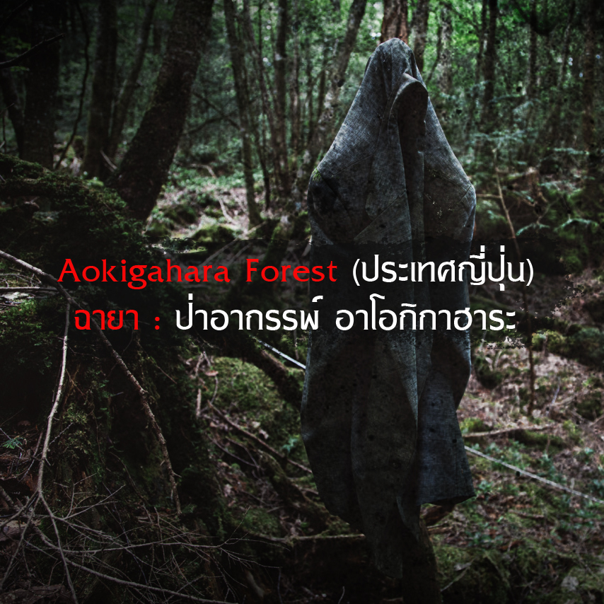 บ้านผีสิง