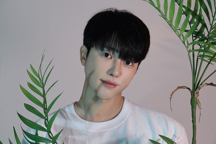 ซง ชานโฮ