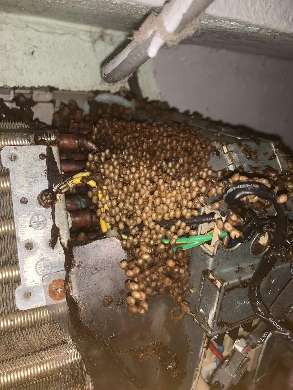 ซ่อมแอร์