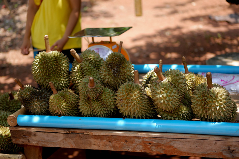ทุเรียนปราจีนบุรี 2563