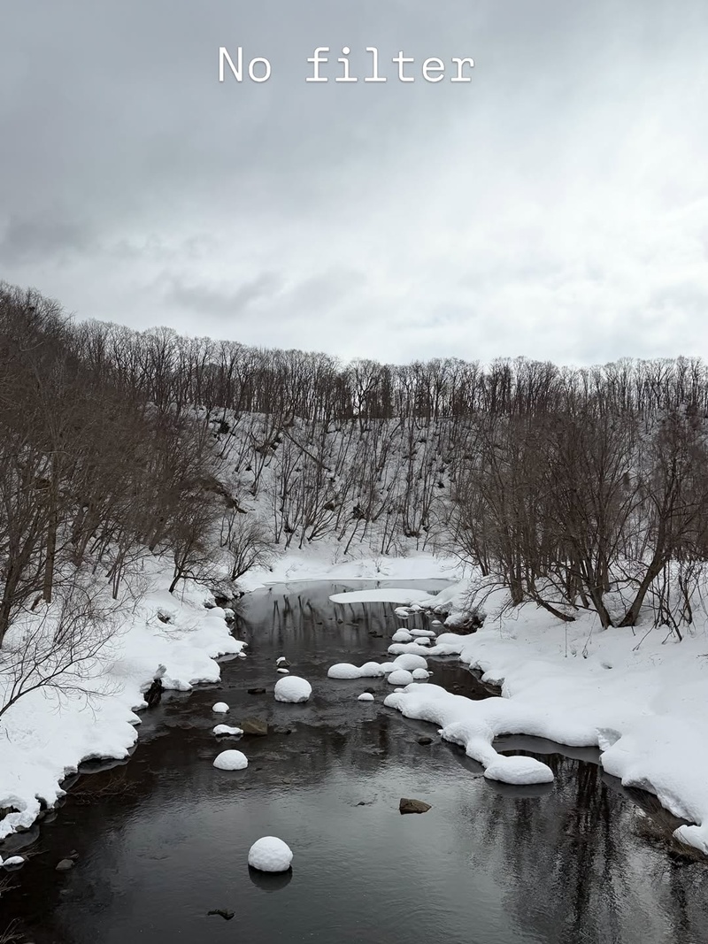 หน่อย บุษกร