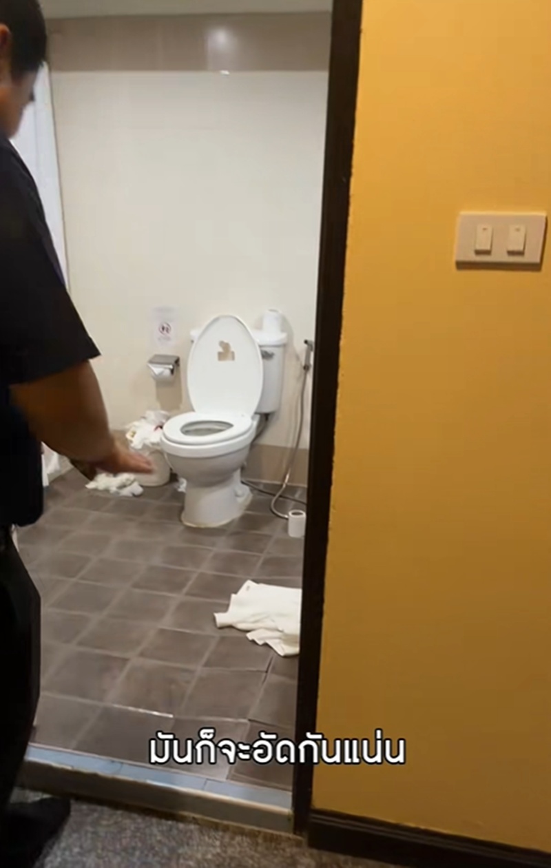 เจนิส เจณิสตา