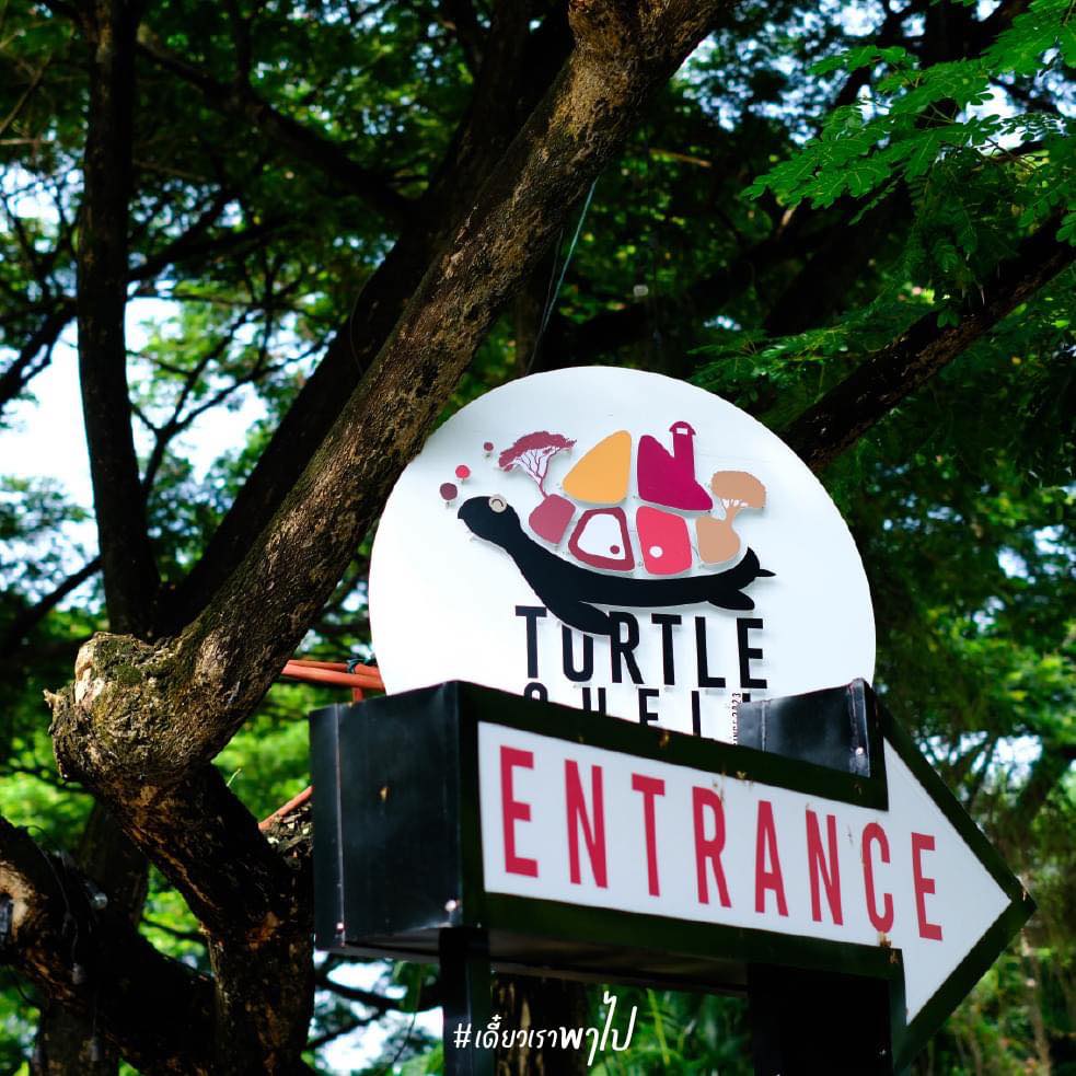 Turtle Shell โอชา R&Beer