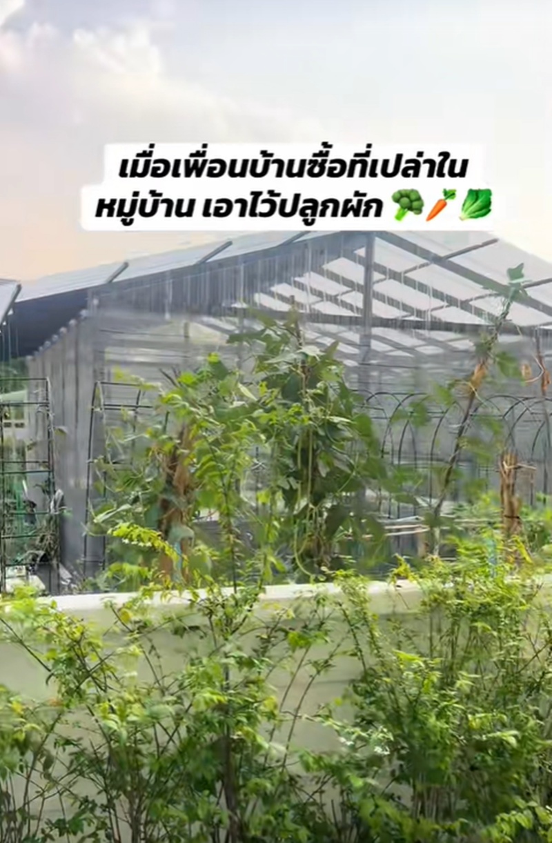 เพื่อนบ้าน