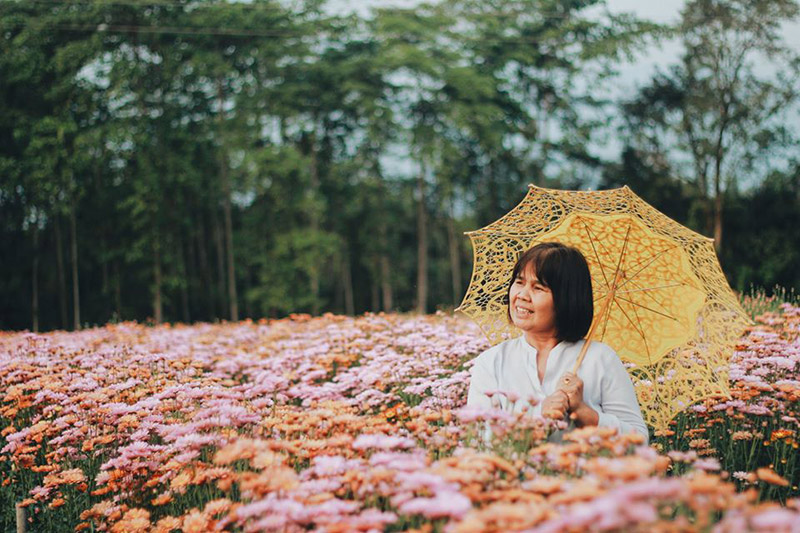 สวนดอกไม้สิทธิกร จ.อุดรธานี