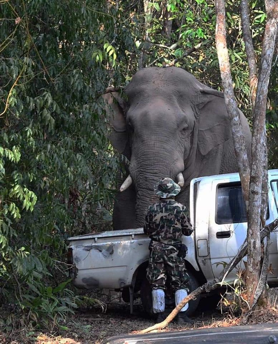 มิตรภาพต่างสายพันธุ์