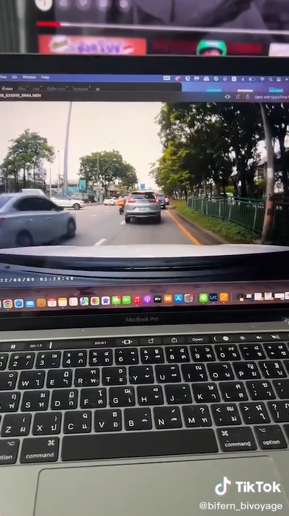 ใบเฟิร์น อัญชสา