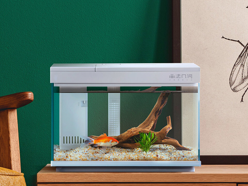 xiaomi 2020