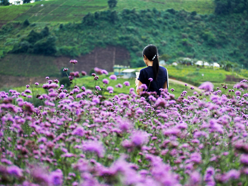 ที่เที่ยวเดือนธันวาคม