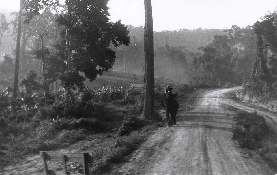 ถนนมิตรภาพ