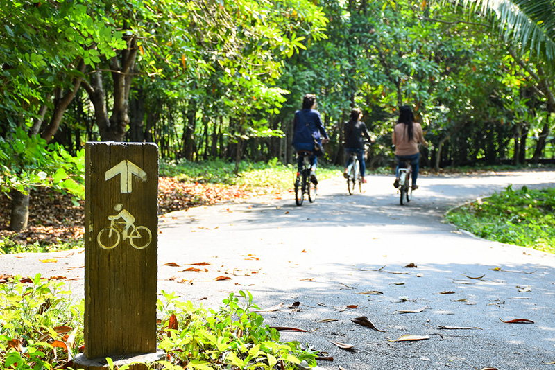 เที่ยววันแม่