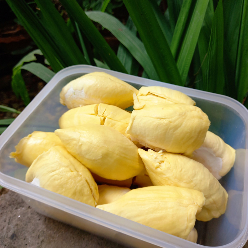 วิธีเก็บทุเรียนในตู้เย็น