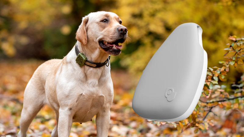 Pet Tracker Jiobit Smart Tag