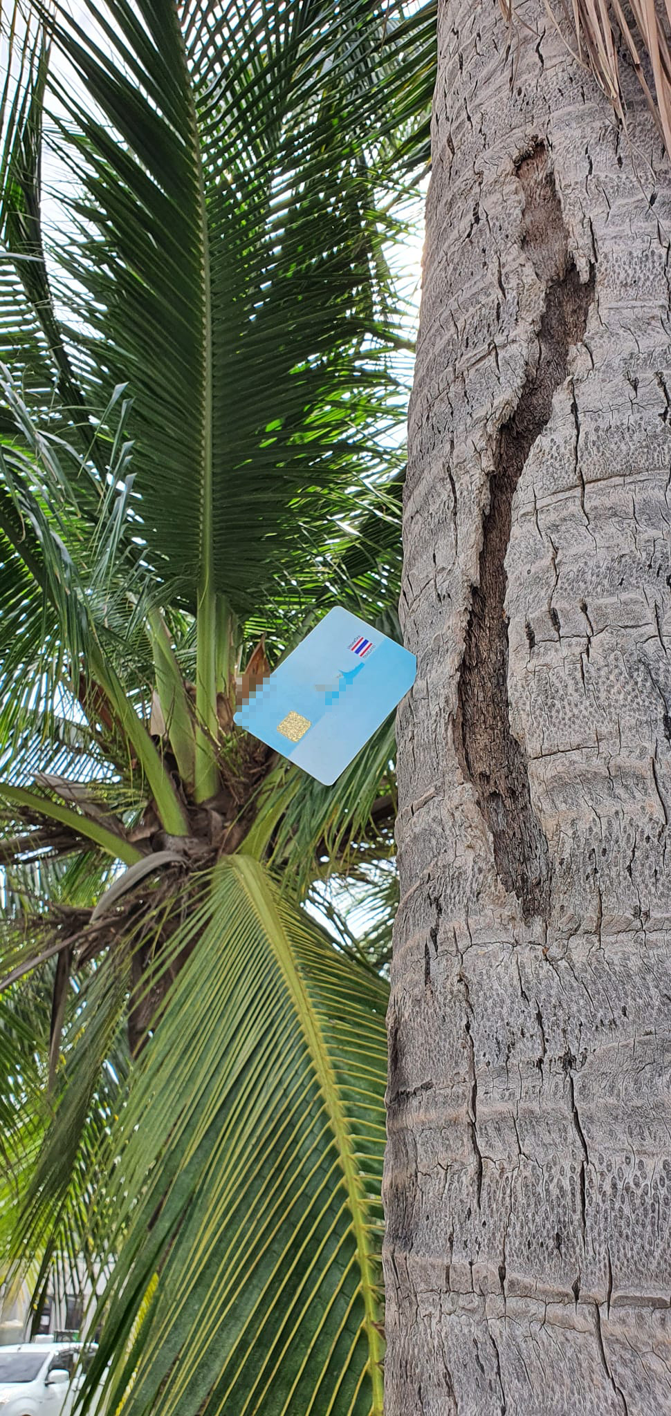 บัตรประชาชนหาย