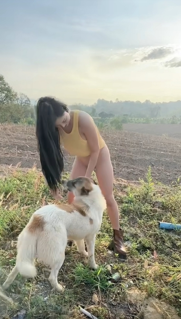 เล่นกับหมา