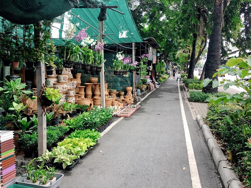 ตลาดต้นไม้