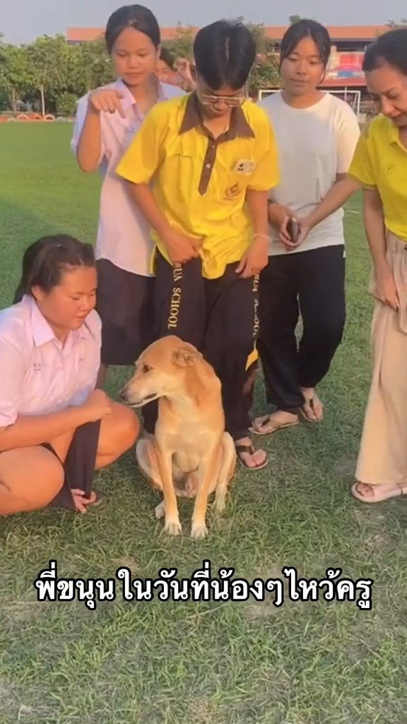 พิธีไหว้ครู