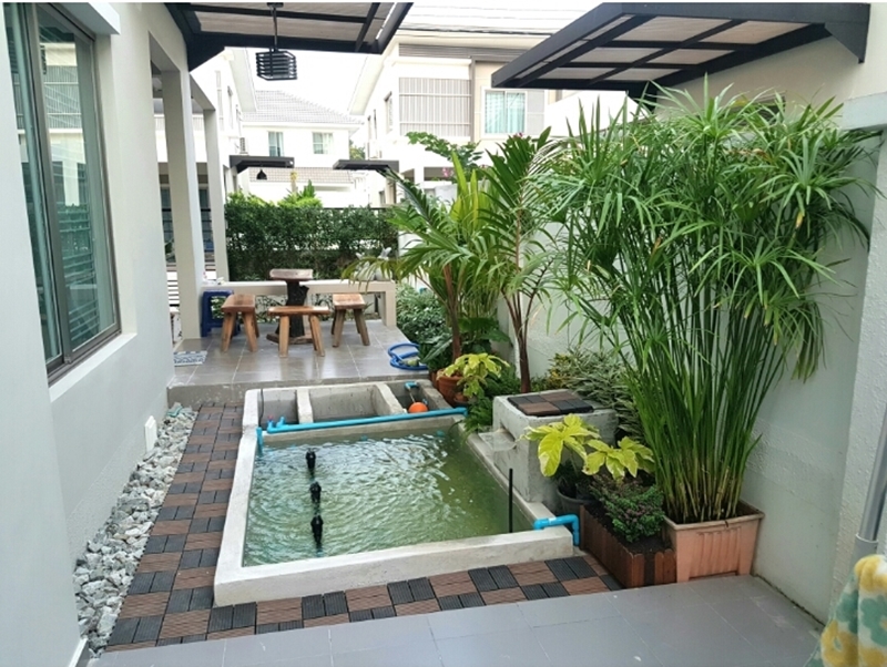 จัดสวนข้างบ้านทาวน์เฮ้าส์