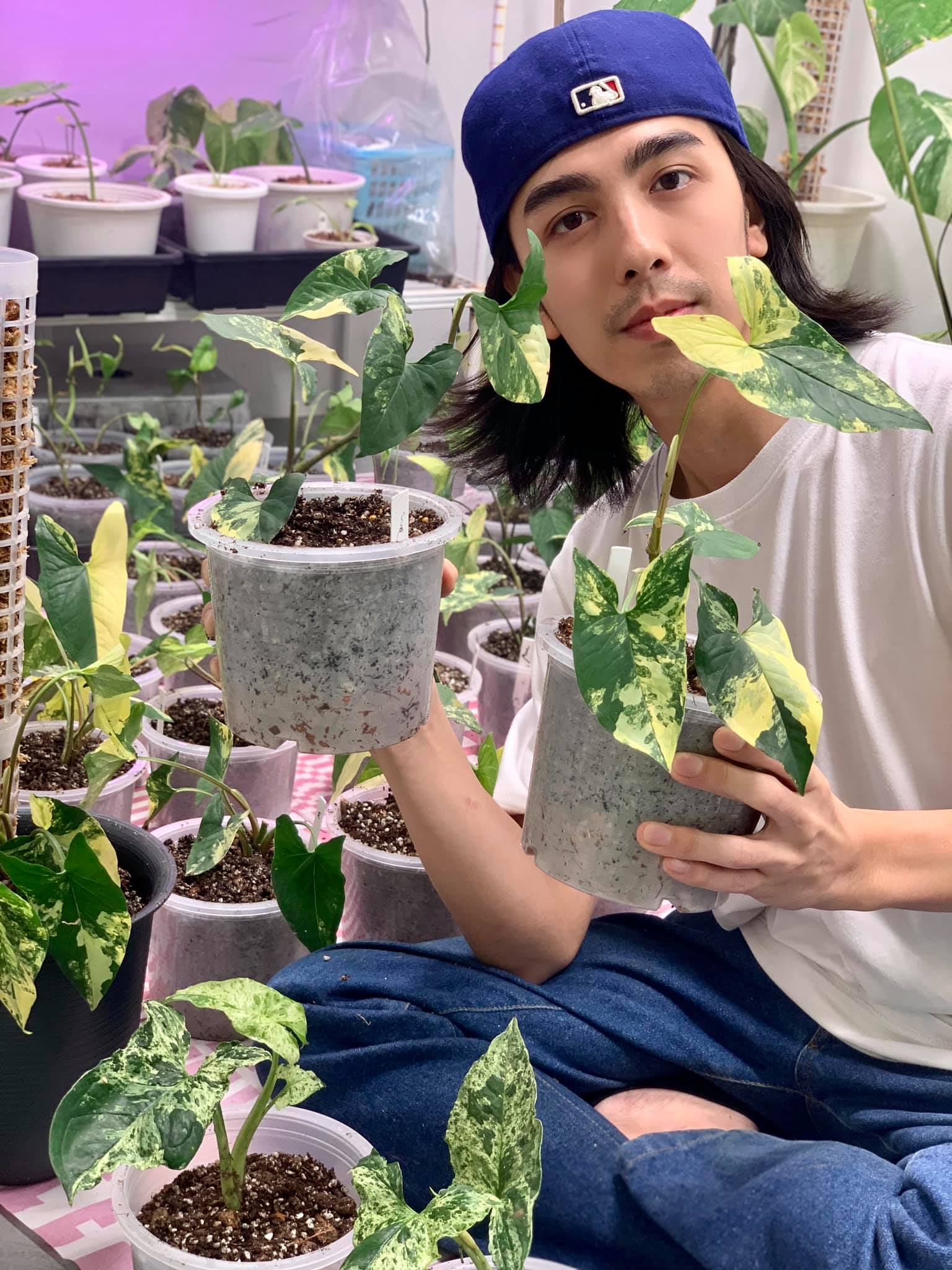 พ่อค้าหล่อ