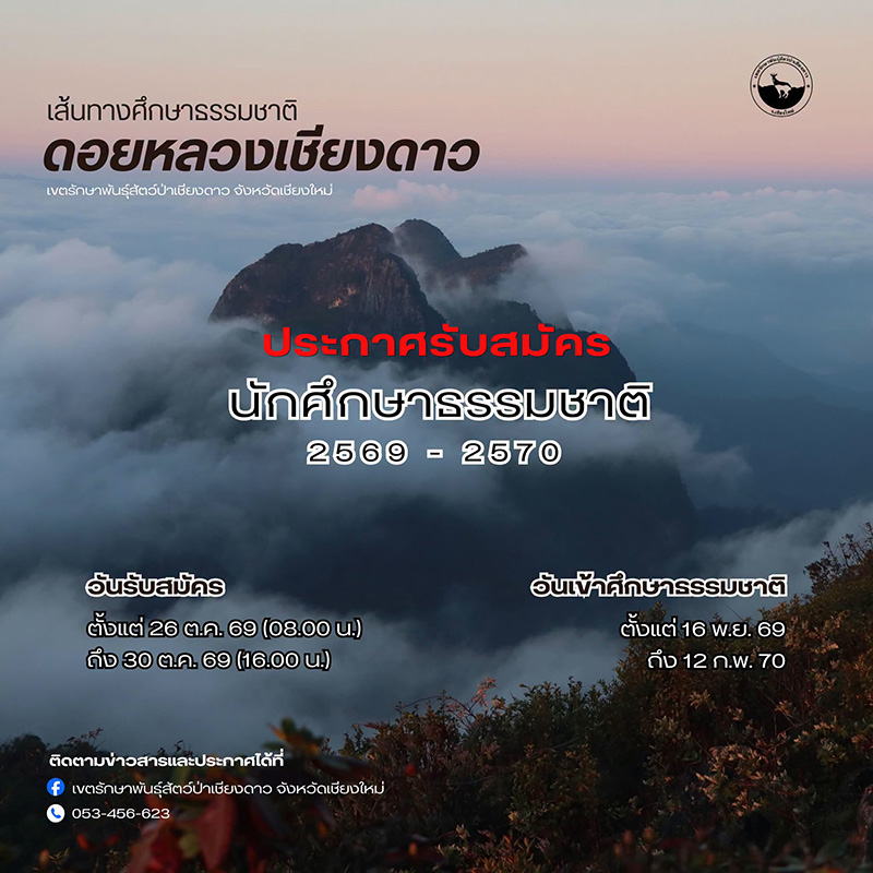 ดอยหลวงเชียงดาว 2569 เปิดเส้นทางศึกษาธรรมชาติ