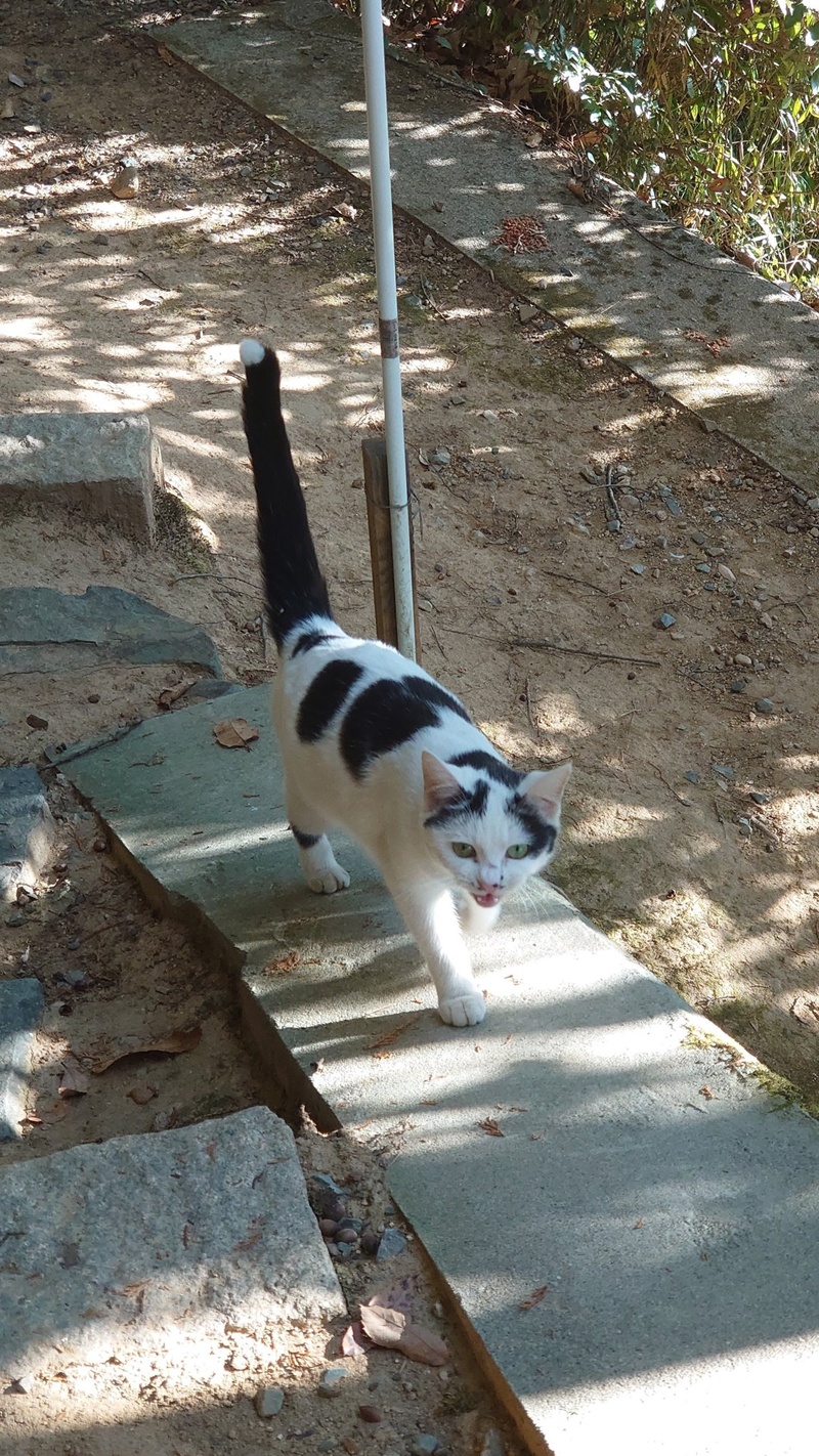 ไหว้ขอพร