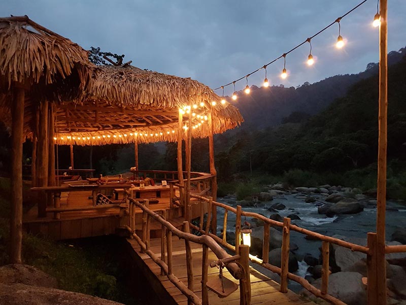 ยามค่ำคืน Stay Wild & Cafe