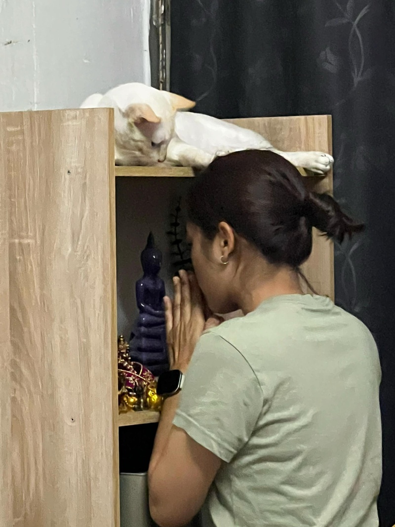 ไหว้สิ่งศักดิ์สิทธิ์