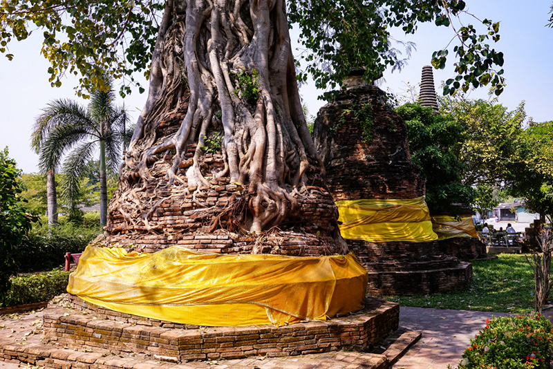 วัดอยุธยา