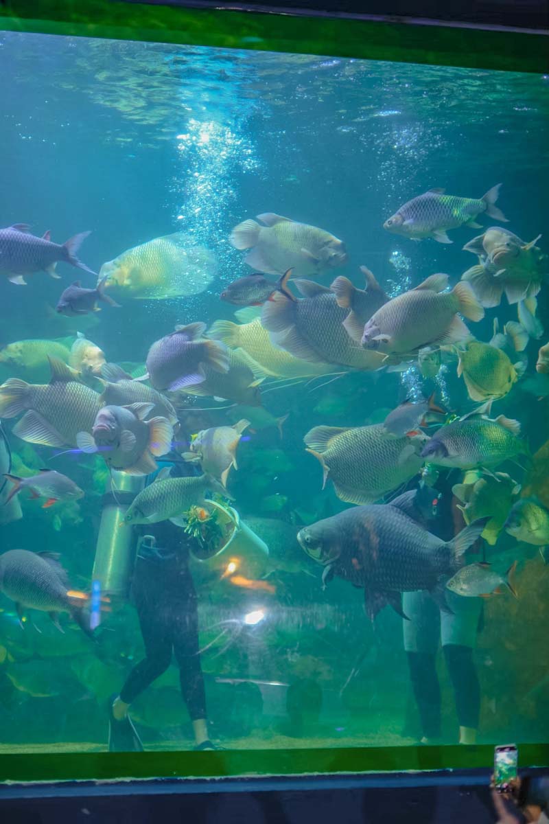 Aquarium สวนสัตว์เชียงใหม่