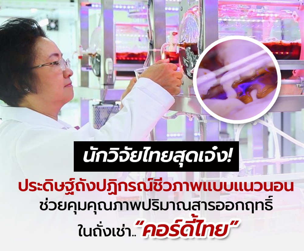 ถั่งเช่า