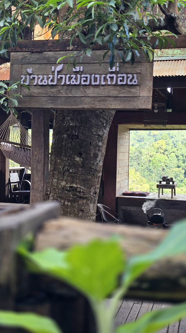 ร้านคาเฟ่บนดอย บ้านป่าเมืองเถื่อนดอยสกาด