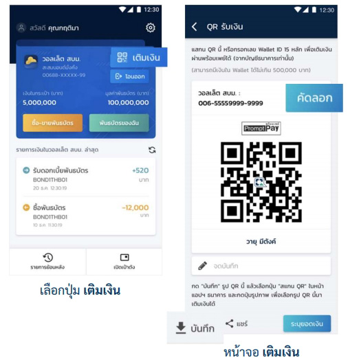 เป๋าตัง