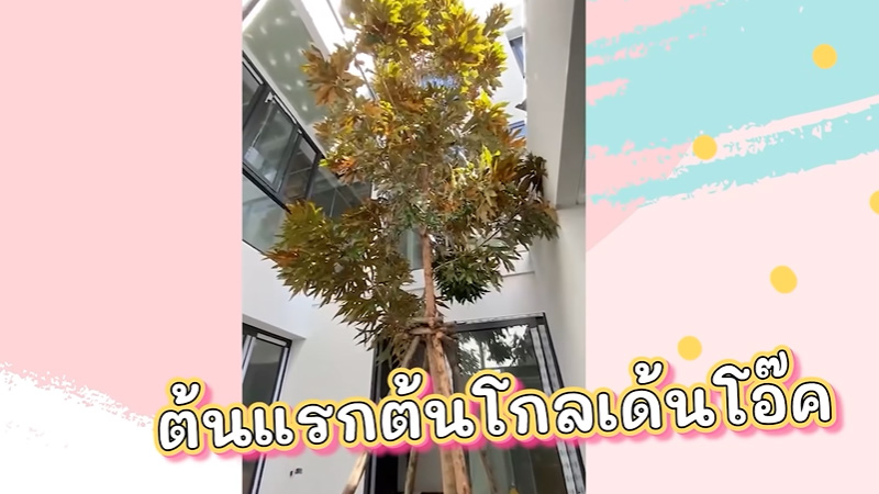 บ้านใหม่ มิว นิษฐา