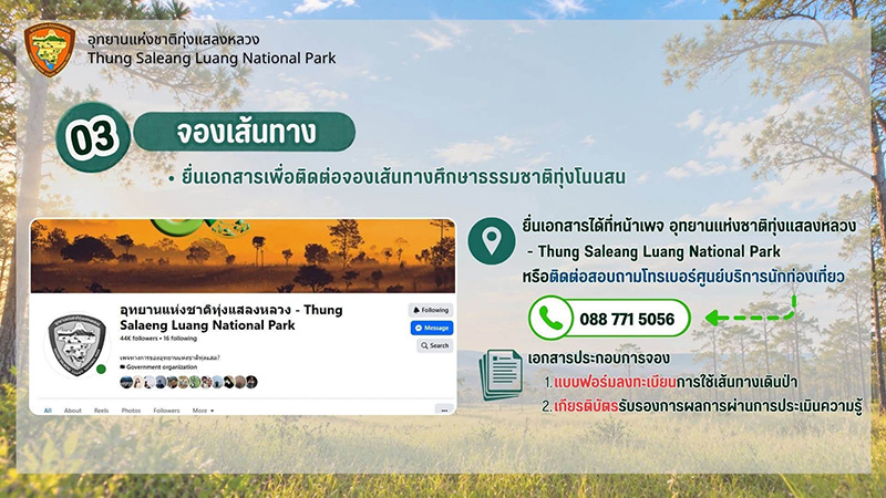 ทุ่งโนนสน 2569 เปิดเดินป่าศึกษาธรรมชาติ