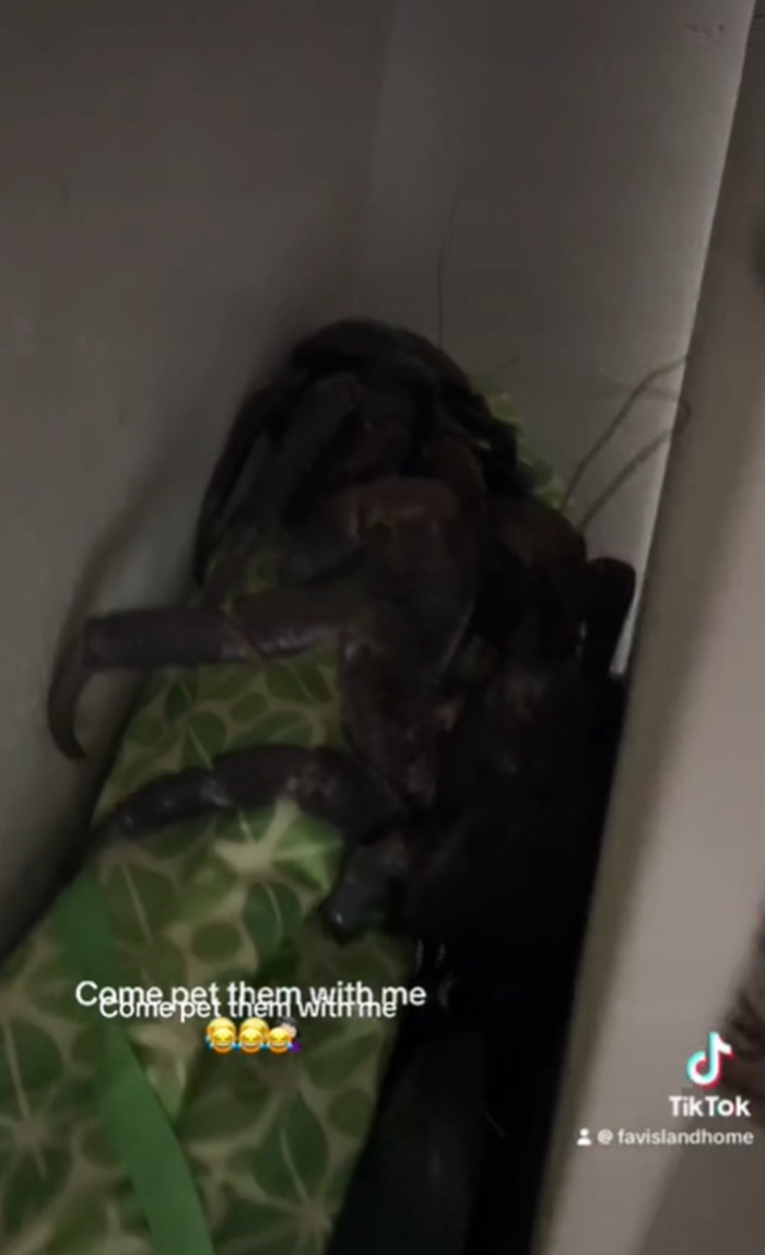 เข้าห้องน้ำ