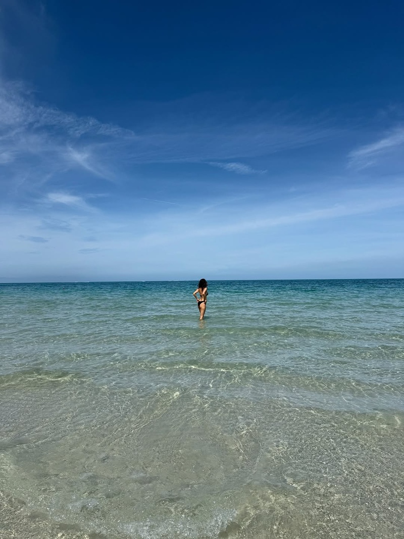 พอลล่า เทเลอร์