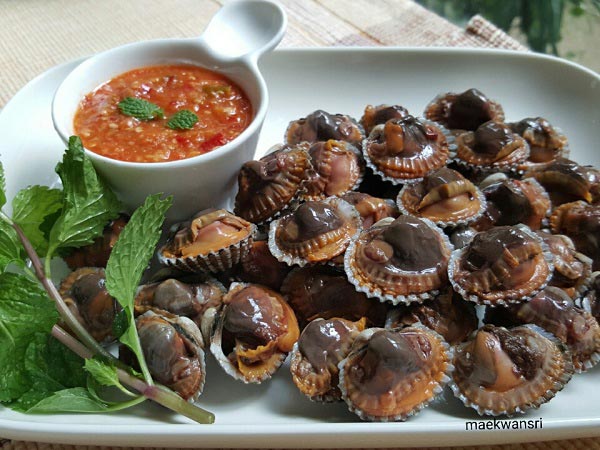 หอยแครง