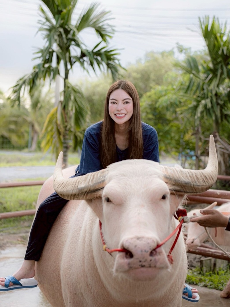 เอวา ปรวรรณ