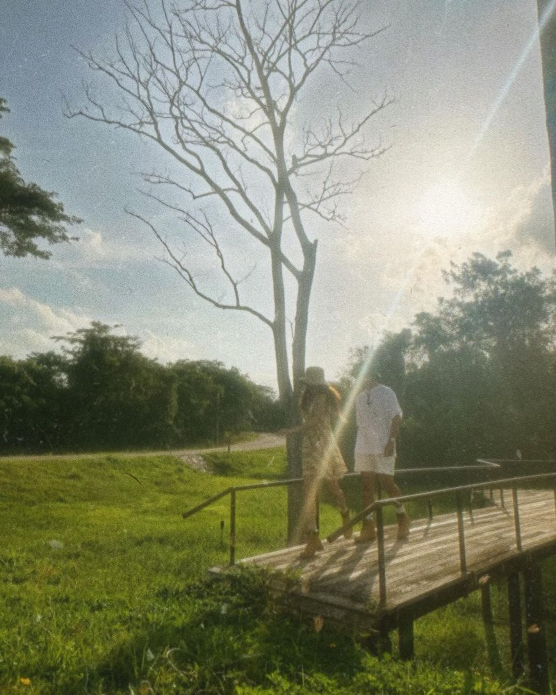 นาย ใบเฟิร์น